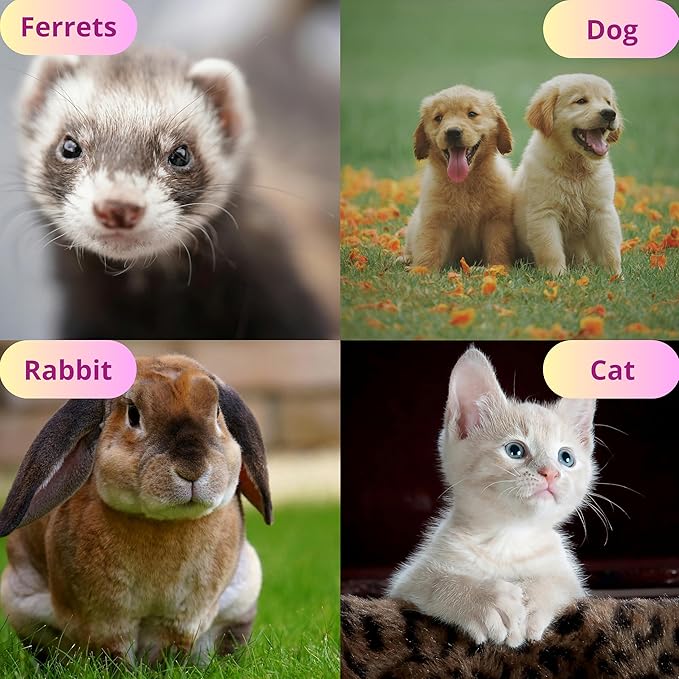 Ferret Hat with Adjustable Strap, Purple Bat Hats for Small Pet Chinchilla Squirrel Bunny Rabbit Dog, Ferret Costumes for Halloween, Guinea Pig Halloween Costume, Ferrets Accessories (Halloween) HomedyCrafts