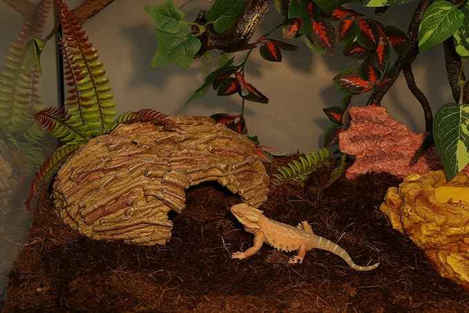 AQUA KT Reptile Natural Coconut Fiber Substrate Bedding Coco Coir Brick for Lizard Hermit Crab Snake Frog Spider Gecko Terrarium Bedding AQUAKT