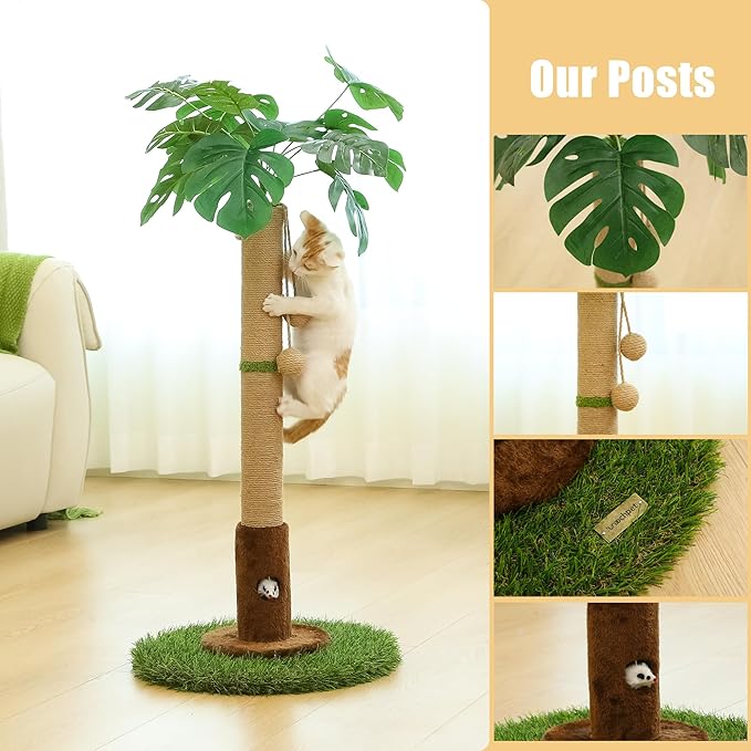 Cat Scratching Post for Indoor Cats and Kitten - 35.43" Tall Cat Scratching Post with Sisal Rope,Palm Tree Cat Scratch Post with Hanging Ball - PAWPICO