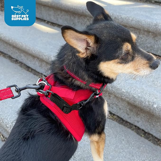 Best Pet Supplies Voyager Dog Collar Safety Clip with Dual Clasps, Collars and No Pull Harness Connectors, Training for Walking, Running, and Hiking, Safety Clip - Black - PAWPICO