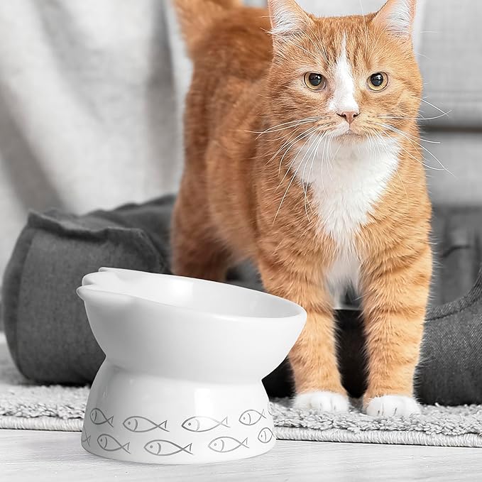 Kaiikai’s Elevated Cat Bowls and Dog Food Bowls 15 oz Ceramic Water Dog Bowls Medium and Small Sized Dog 6 Inch Tilted Cat Water Bowl Raised Cat Food Bowls Dog and Cat Supplies Small Cat Face Bowl - PAWPICO