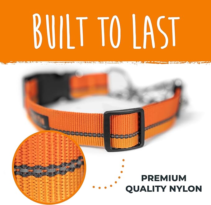 Mighty Paw Martingale Dog Collar 2.0 | Trainer Approved Limited Slip Collar with Stainless Steel Chain & Heavy Duty Buckle - Modified Cinch for Gentle & Effective Pet Training - Large, Orange MightyPaw