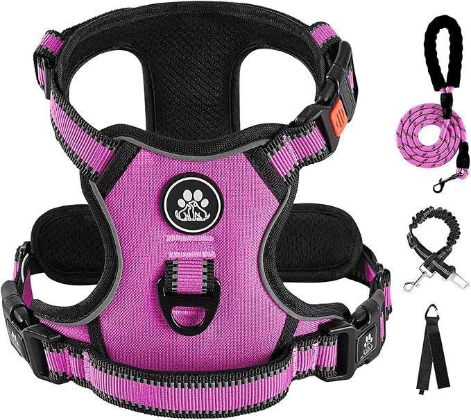 IVY&LANE No Pull Dog Harness for Medium Dogs, Dog Vest Harness with Leash, Safety Belt and Storage Strap, Fully Adjustable Harness, 360° Reflective Strip, Soft Handle (Fuchsia Pink,M) IVYLANE