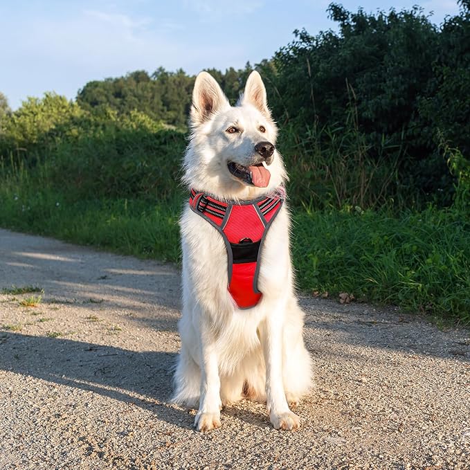 Eagloo Dog Harness Large Breed, No Pull Service Vest with Reflective Strips and Control Handle, Adjustable and Comfortable for Easy Walking, No Choke Pet Harness with 2 Metal Rings, Red, XL GoExplorewithEagloo