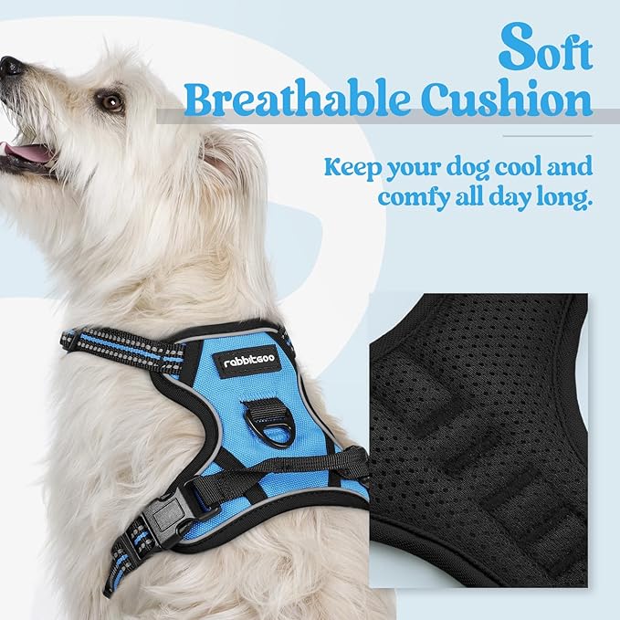 rabbitgoo Dog Harness No Pull with 2 Leash Clips, Adjustable Soft Padded, Reflective Oxford No Choke Pet Vest with Easy Control Handle for Puppy, Blue, XS rabbitgoo
