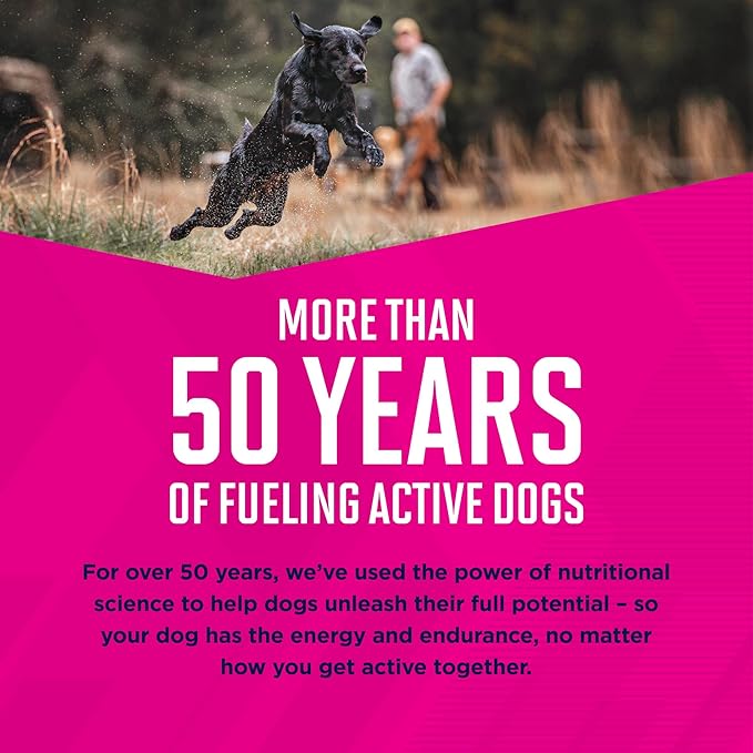 Eukanuba Adult Small Bites Dry Dog Food, 30 lb - PAWPICO