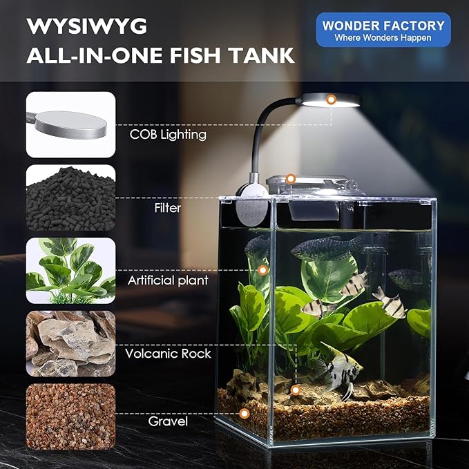 1.5 Gallon Aquarium Fish Tank with HOB Filter and Light, All in one Small Fish Tank kit, Complete Desktop Small Aquarium WONDERFACTORY
