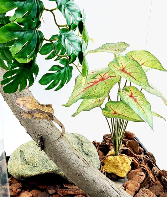Woyrise Reptile Artificial Plants for Terrarium Decor, Amphibian Habitat Decorations Bearded Dragon Tank Accessories fit Crested Gecko Leopard Lizard Chameleon Ball Python Snake Frog - Fake Caladium Woyrise