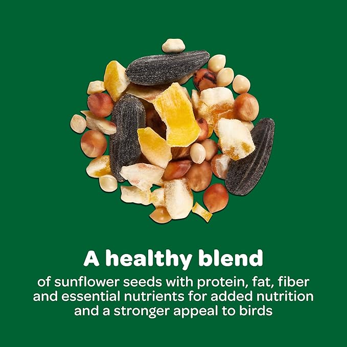 Kaytee Wild Bird Basic Seed, 20lbs (2 Packs of 10lbs) Kaytee