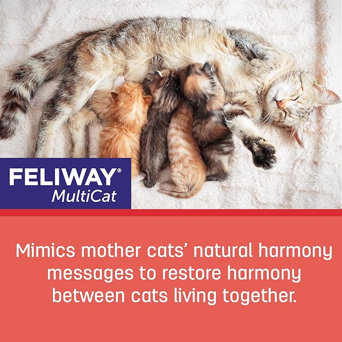 FELIWAY MultiCat Calming Pheromone, 30 Day Refill - 3 Pack Feliway%C2%AE