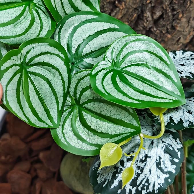 Woyrise 2 Pack Reptile Plants, Terrarium Hanging Plant Vines, Artificial Leaves with Suction Cup, Bearded Dragon Tank Accessories for Gecko Lizard Snake Frog Tortoise Decorations - Calathea Orbifolia Woyrise