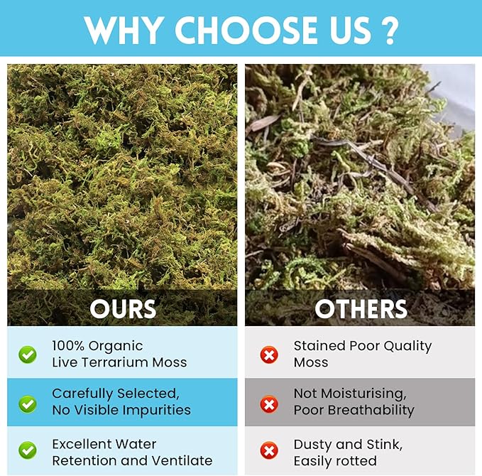 Riare 7 OZ Premium Sphagnum Moss for Reptiles- 10QT Natural Live Moss Reptile Moss Bedding for Terrarium, Hatching, Forest Sphagnum Moss Reptile Substrate for Snakes, Gecko, Turtles, Frogs, Leopard Riare