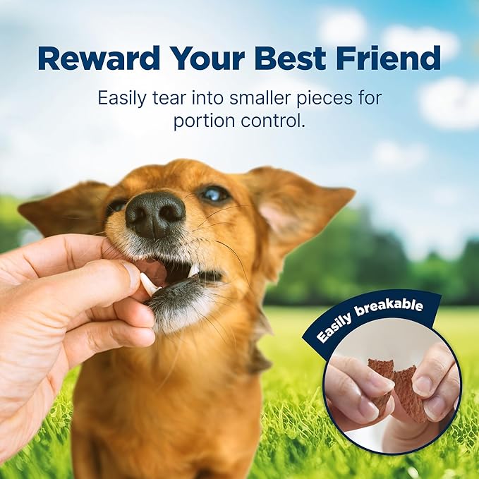 Blue Buffalo Nudges Jerky Cuts Dog Treats, Made in the USA with Natural Ingredients, Chicken & Duck, 36-oz. Bag - PAWPICO