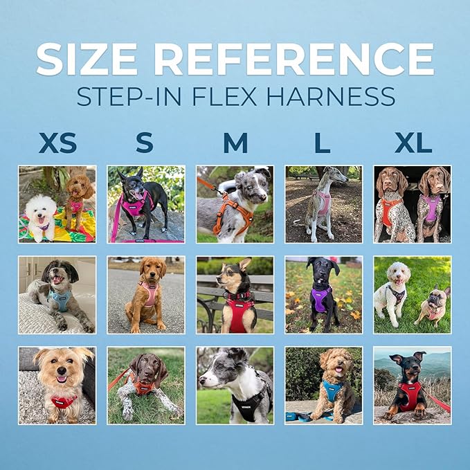 Best Pet Supplies Voyager Adjustable Dog Vest Harness Breathable No Pull Harness for Small, Medium, Large Dogs, Harness for Walking, Jogging, Easy Step-In, Reflective Stripes - (Baby Blue), L BestPetSuppliesLLC