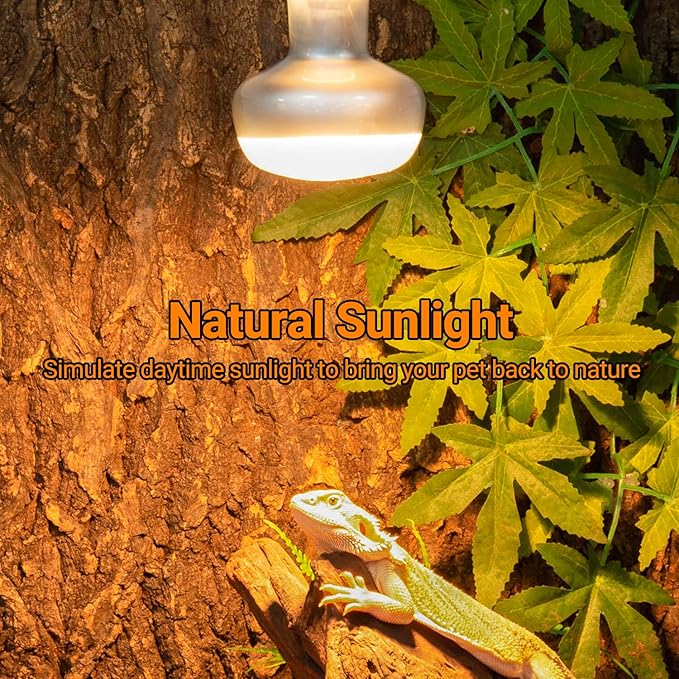 REPTI ZOO 2 Pack Heat Lamp 100W, Intense Basking Spot Simulated Natural Sunlight Heating Lamp Bulb, Heat Emitter UVA Heat Lamp Bulb for Reptile Chickens Pet Brooder REPTIZOO