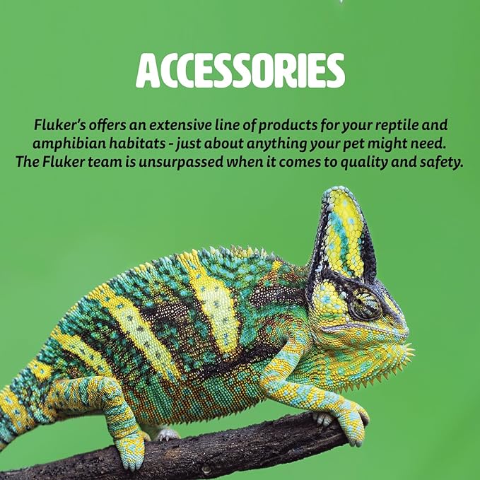 Fluker's Food and Water Reptile Corner Bowl, Small 4" Flukers