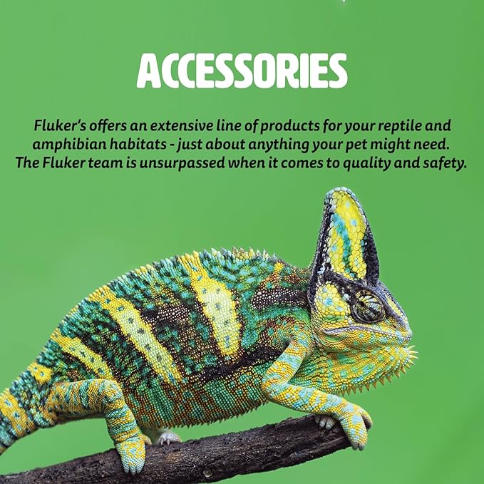 Fluker's Repta Bowl, Food and Water Bowl for Reptiles and Small Animals, X Large 12" Flukers