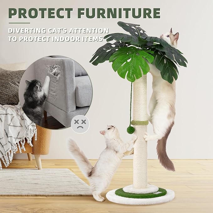MEOWOOU Cat Scratching Post for Indoor Cats and Kitten, 35” Tall Monstera cat Scratching Post with sisal Hanging Interactive Ball, Suitable for Large Adult cat, Kitten, and All Type of Cats - PAWPICO