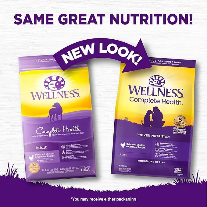 Wellness Complete Health Dry Dog Food with Grains, Natural Ingredients, Made in USA with Real Meat, All Breeds, For Adult Dogs (Chicken & Oatmeal, 15-Pound Bag) - PAWPICO