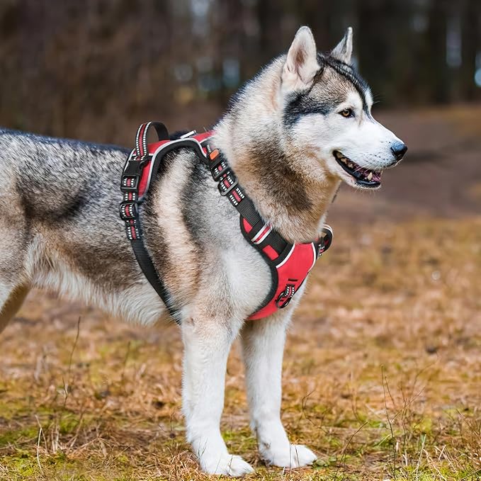 Timos Dog Harness Medium Sized, No Pull Dog Harness with Neck Lockable Snap,No Choke Front Clip Dog Reflective Harness,Adjustable Metal Rings 3 Buckles,Easy Control Handle for Medium Dogs Red M Timos