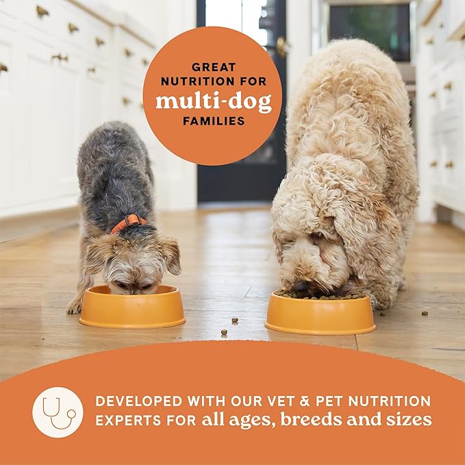 Canidae All Life Stages Real Chicken & Ancient Grains Recipe – High Protein Premium Dry Dog Food for All Ages, Breeds, and Sizes– 5 lbs. - PAWPICO