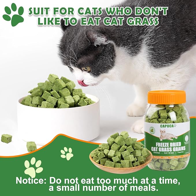 Cat Grass Treats Cubes - 80g Natural Freeze Dried Cat Grass Teething Stick Cat Treats Snacks Edible Cat Chew Toys for Hairball Removal Teeth Cleaning - PAWPICO