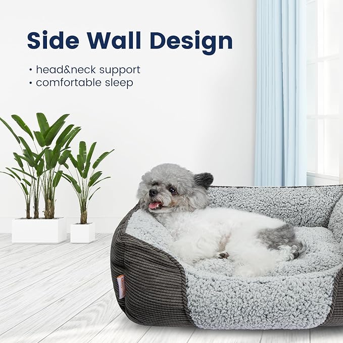 Miguel Washable Cat Beds for Indoor Cats with Removable Cushion, Easy to Wash Small Pet Sofa Bed with Side, Rectangle Bolster Kitten Bed Calming Cuddle Puppy Bed with Anti-Slip Bottom, Gray 20 Inch - PAWPICO