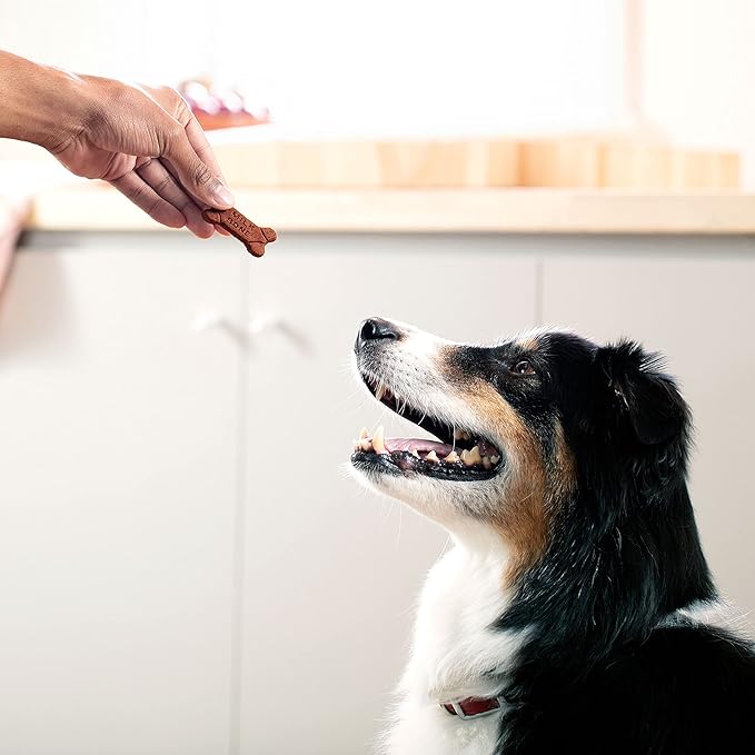 Milk-Bone Soft & Chewy Dog Treats Bundle: Chicken Recipe 25 Ounce + Real Bacon 25 Ounce - PAWPICO