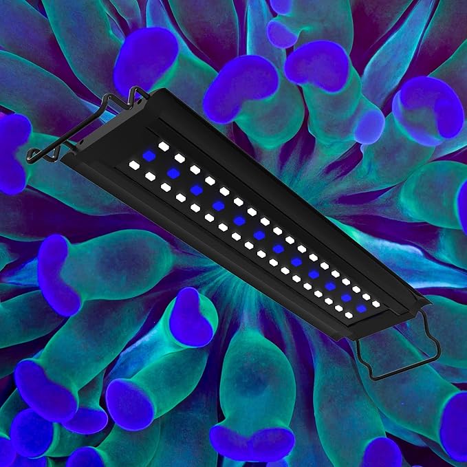 Aquatop SkyAqua Marine LED Saltwater Aquarium Light, 14000K Spectrum – Fits 18-24-Inch Tanks, 3 Position Toggle Switch & Included Remote Control, Aquarium Lights for Fish Tanks, UL & CSA AQUATOP