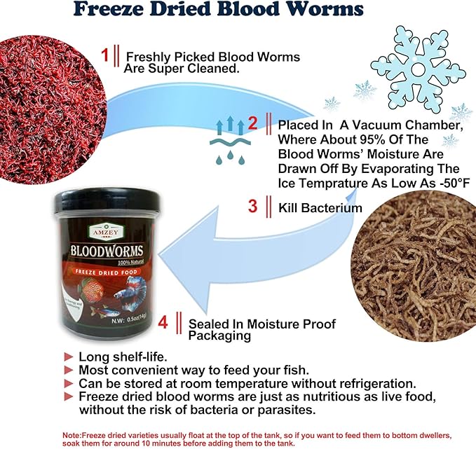 Blood Worms 1 oz -100% Natural Freeze Dried Blood Worms - Aquarium Fish Food - High Protein Food for Betta Fish, Food for Goldfish, Food for Cichlid, Food for Guppy, Food for Discus, Food for Turtle Amzey