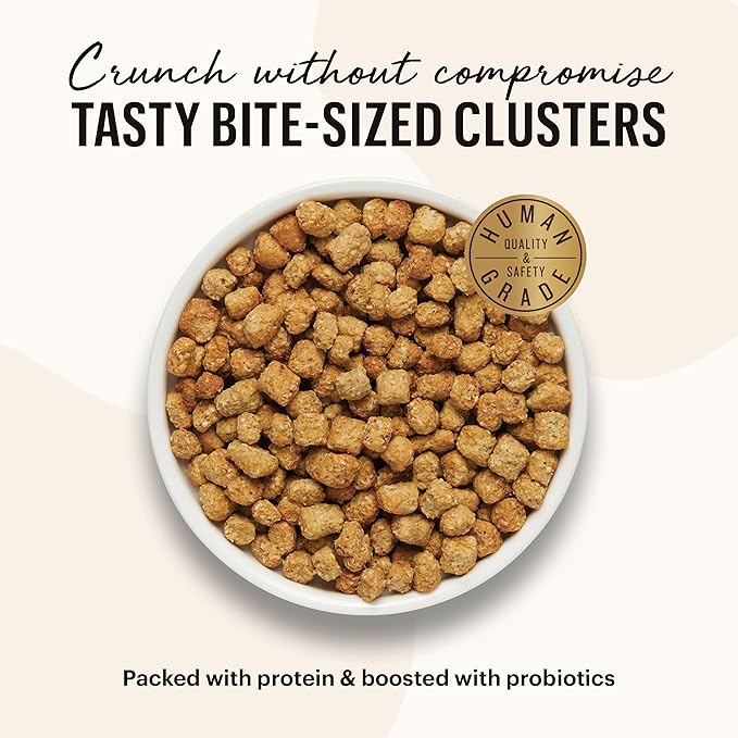 The Honest Kitchen Whole Food Clusters Grain Free Chicken & Fish Dry Cat Food, 10 lb Bag - PAWPICO