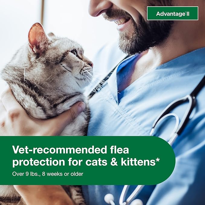 Advantage II Large Cat Vet-Recommended Flea Treatment & Prevention | Cats Over 9 lbs. | 1-Month Supply Advantage