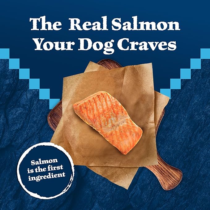 Blue Buffalo Wilderness Adult High-Protein Dry Dog Food Natural Salmon WITH WHOLESOME GRAINS - PAWPICO