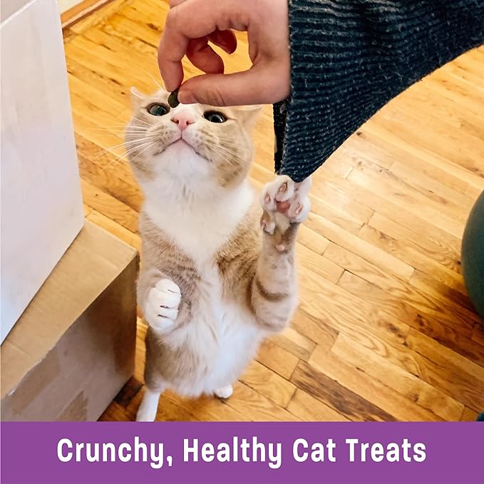 Wellness Kittles Crunchy Natural Grain Free Cat Treats, Salmon & Cranberry, 2-Ounce Bag (Pack of 2) WellnessNaturalPetFood