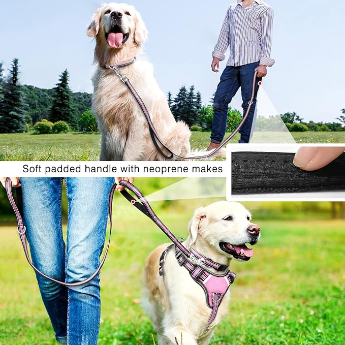 WINSEE Pet Harness Collar and Leash Set, All-in-one Reflective Dog Harness No Pull with Adjustable Buckles for Puppies, Small, Medium, Large, and Extra-Large Dogs (X-Large, Pink) - PAWPICO