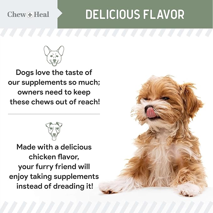 Chew + Heal All in 1 Dog Vitamin - 120 Soft Chew Treats - Chewable Multivitamin with Probiotics, Digestive Enzymes, for Skin and Coat, Hip and Joint Support - with Omega, Calcium - Made in The USA ChewHeal