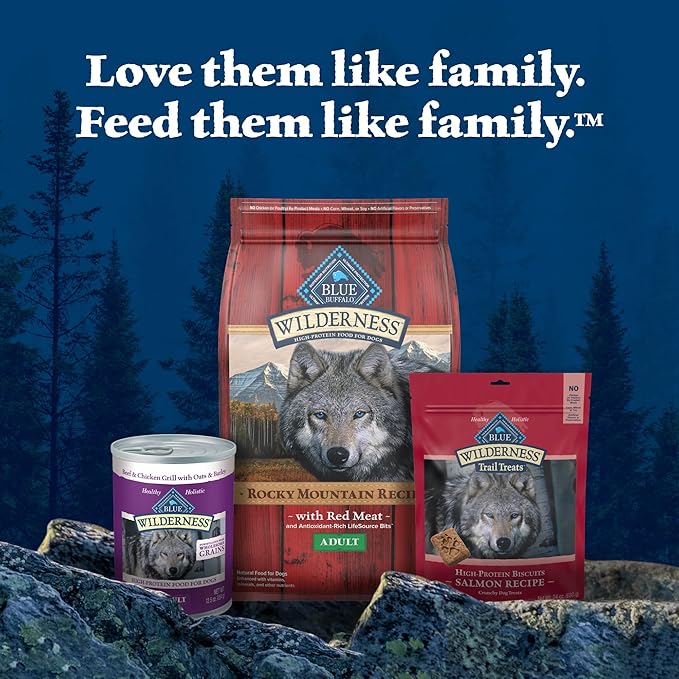 Blue Buffalo Wilderness Trail Treats High Protein Grain Free Crunchy Dog Treats Biscuits, Turkey Recipe, 36-oz box - PAWPICO