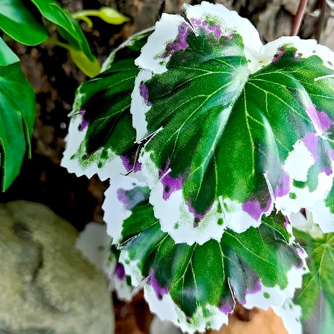 Woyrise Reptile Artificial Plants for Terrarium Decor, Amphibian Habitat Decorations Bearded Dragon Tank Accessories fit Crested Gecko Leopard Lizard Chameleon Snake Frog - White Edge Heuchera Woyrise