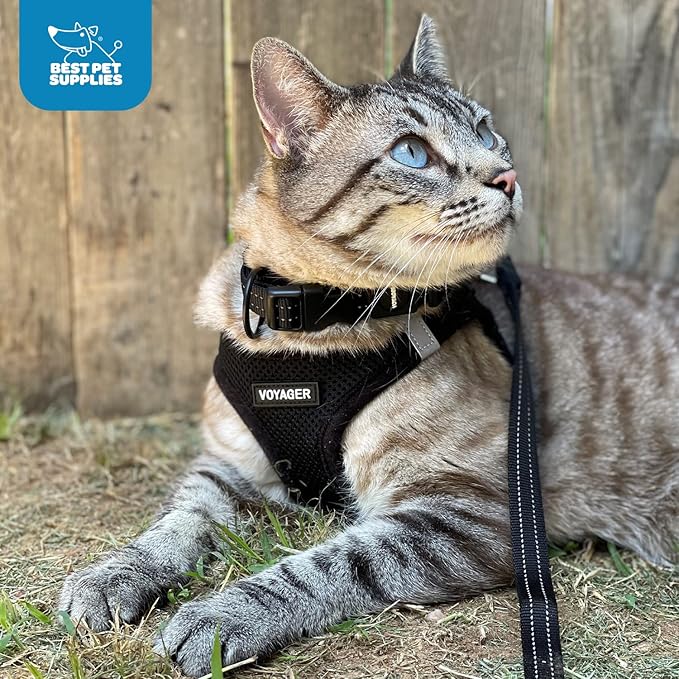 Voyager Step-in Air Dog Harness - All Weather Mesh, Reflective, No Pull Harness for Small, Medium Dogs, Cats - Secure with Hook & Loop Fastener, Buckle, Double D-Rings - Black, XXXS BestPetSuppliesLLC