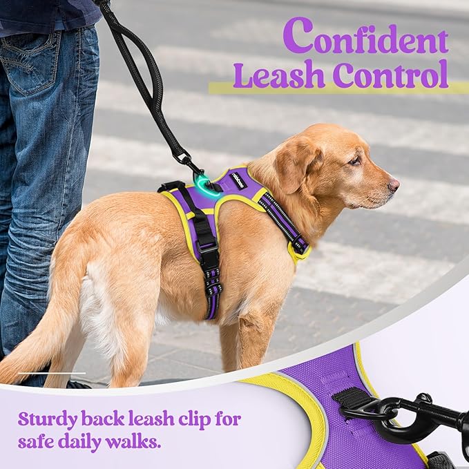 rabbitgoo Dog Harness No Pull with 2 Leash Clips, Adjustable Soft Padded, Reflective Oxford No Choke Pet Vest with Easy Control Handle for Small Dogs, Purple & Yellow, S rabbitgoo
