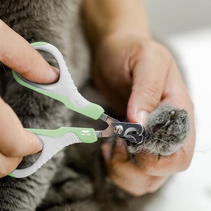 Mr. Pen- Cat Nail Clipper, Pastel Green, Cat Nail Trimmer, Cat Nail Clippers, Cat Claw Clippers, Cat Clippers for Nails, Pet Nail Clippers, Kitten Nail Clipper, Small Dog Nail Clipper Cat Claw Trimmer - PAWPICO