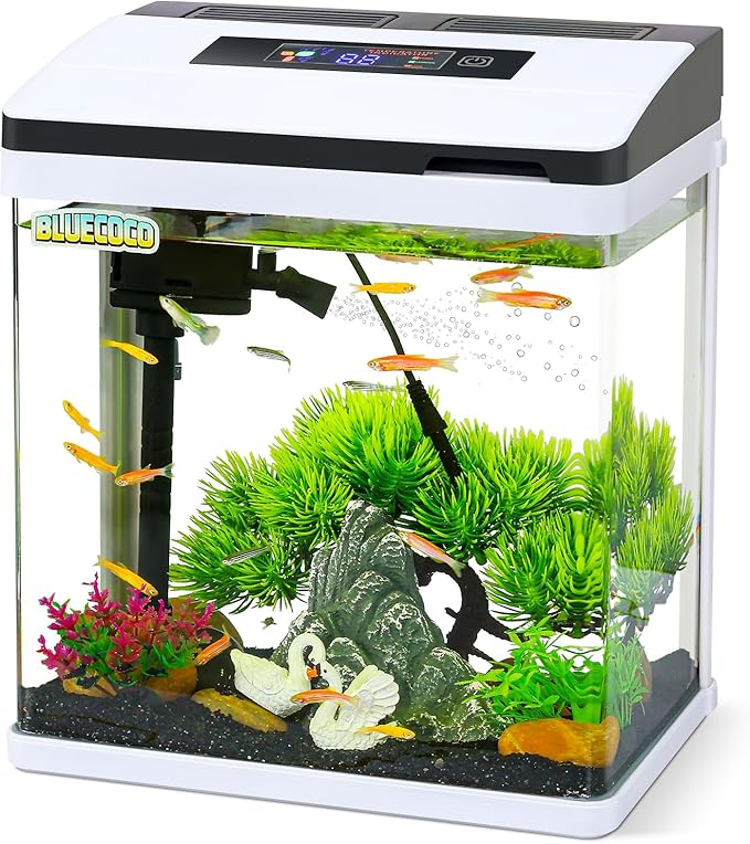 2 Gallon Glass Aquarium Fish Tank Starter Kit with Temperature for Betta Fish Featuring Crystal Clear 360° Viewing, Eco-Cycle Filtration, Air Pump Bluecoco