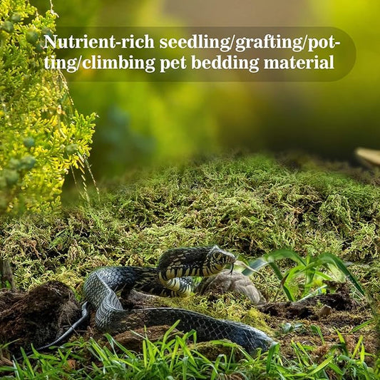 Sukh Sphagnum Moss for Reptiles - Terrarium Moss for Reptiles Peat Moss for Reptiles Habitat Bedding Moss for Snakes Turtle Frog Gecko and Other Reptiles Substrate (3, Ounces) Sukh