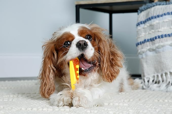 Hartz Chew 'n Clean Dental Duo Dog Treat & Chew Toy, Color Varies, Medium, 3 Pack - PAWPICO