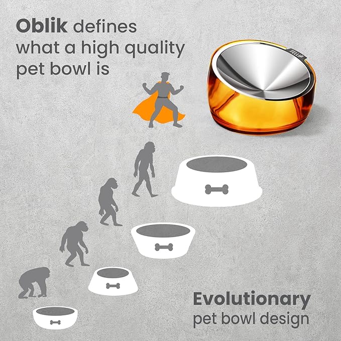 Felli Pet Oblik Anti Whisker Fatigue & Regurgitation Raised Cat Food Water Bowl, Tilted Stainless Steel Shallow Dish Dishwasher Easy Clean, Elevated Dry Wet Metal Feeder Slanted Plate (0.5Cups, Gold) - PAWPICO