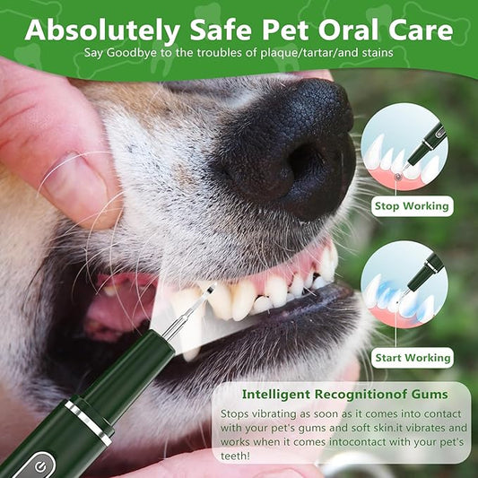 Dog Plaque Remover for Teeth - Pet Ultrasonic Tooth Cleaner, 6 Adjustable Modes Dog Teeth Cldaning Kit with LED Light, Cats and Dogs Tartar Remover for Teeth (Green, Large) PAWPICO