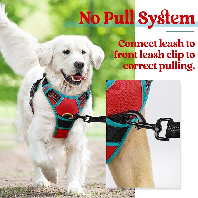 rabbitgoo Dog Harness, No-Pull Pet Harness with 2 Leash Clips, Adjustable Soft Padded Dog Vest, Reflective No-Choke Pet Oxford Vest with Easy Control Handle for Large Dogs, Red & Teal, L - PAWPICO
