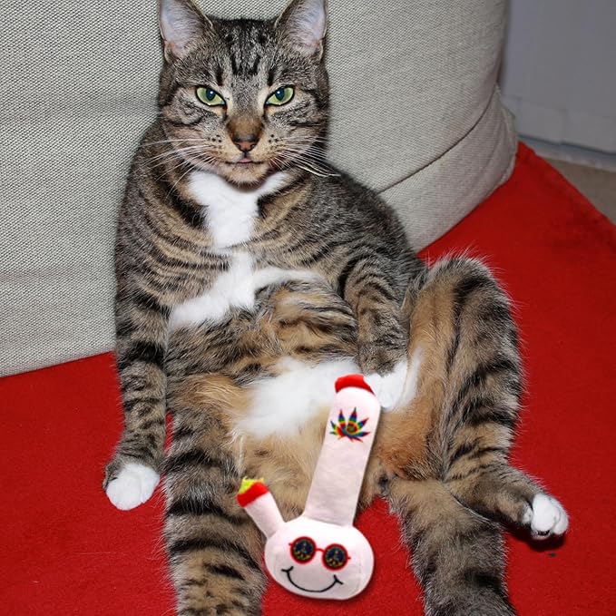 Lil' Billie The Bong 420 Cat Toy | Funny Cat Toy | Cool Plush Catnip Toy | Fun Novelty Gift | Play and Funny Photos - PAWPICO