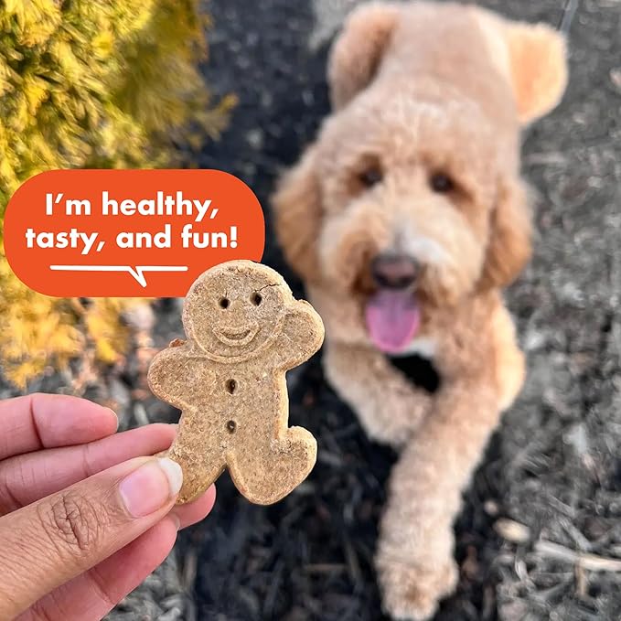 Buddy Biscuits Crunchy Dog Treats, Peanut Butter, 18 oz. Box - PAWPICO