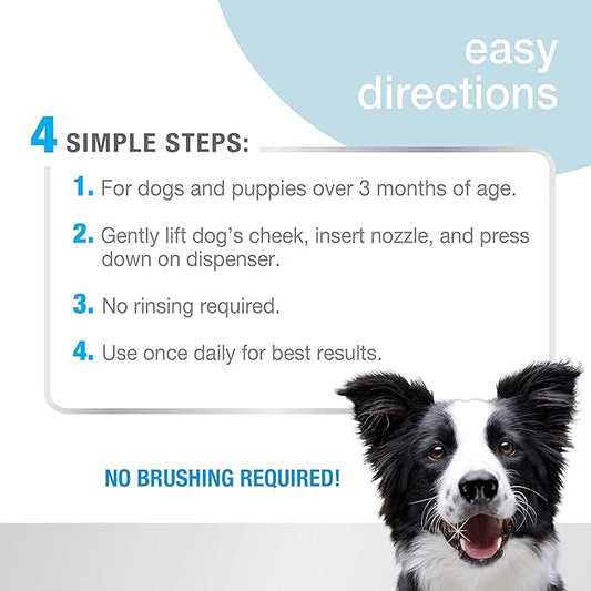 Nylabone Advanced Oral Care Foaming Dog Tartar Remover - Dog Breath Freshener & Teeth-Cleaning Foam (4 oz.) Nylabone